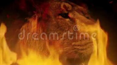 大狮子脸与火焰抽象